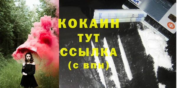 стафф Кулебаки