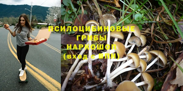 трава Коряжма